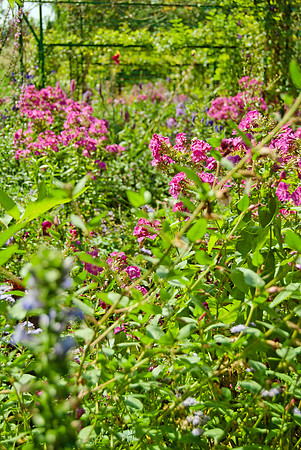 Claude Monet's garden - Giverny, France, 2013