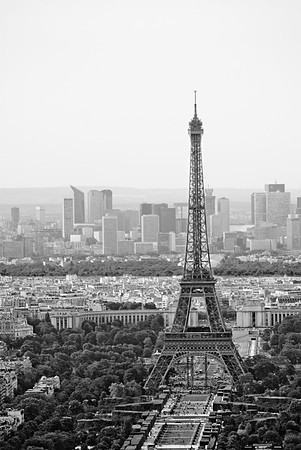 The Champ de Mars with the Eiffel Tower - Paris, France, 2013